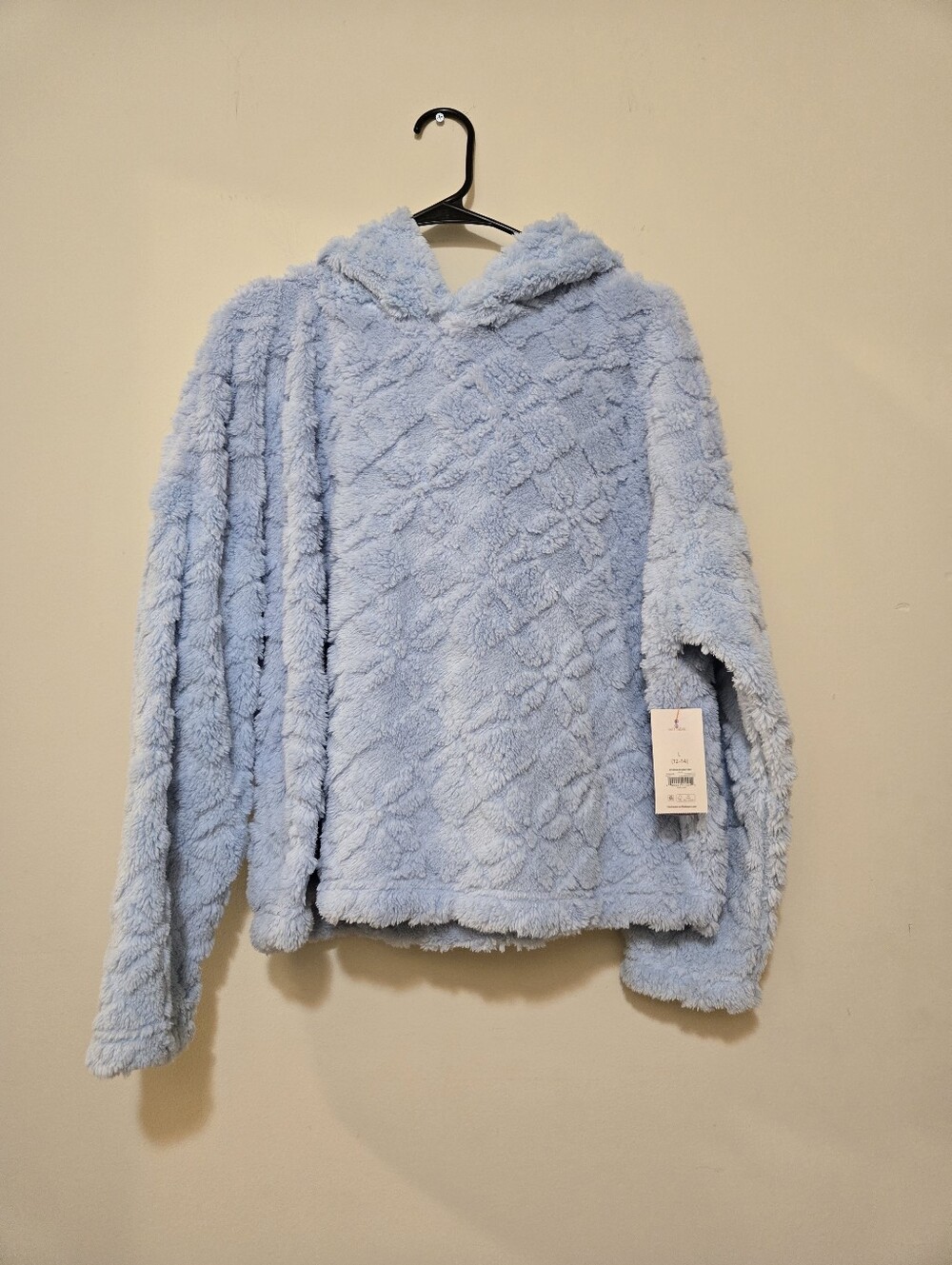 Light Blue Plush Fuzzy Hooded Pullover And Matching Pants